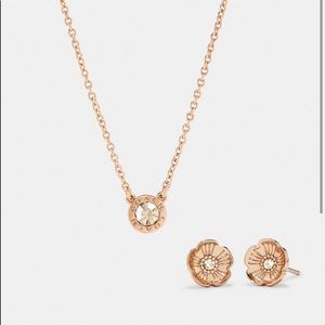 Coach Rose Gold Earring and Necklace Set NWT